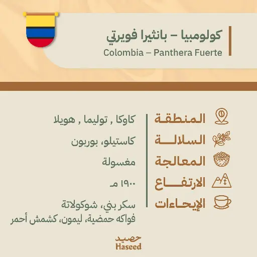 Roasted Coffee Beans | Colombia – Panthera Fuerte