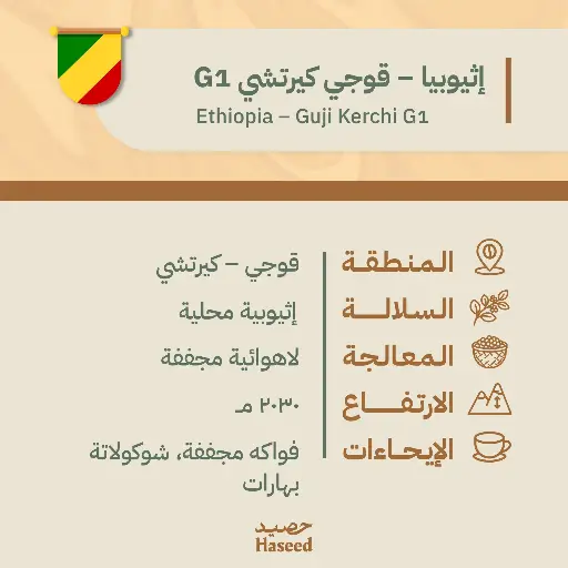 Roasted Coffee Beans | Ethiopia – Guji Kerchi G1