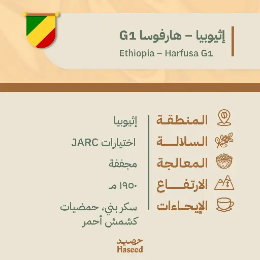 حبوب قهوة محمّصة | إثيوبيا – هارفوسا G1