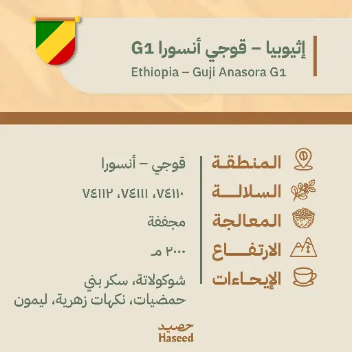 Roasted Coffee Beans | Ethiopia Guji Anasora