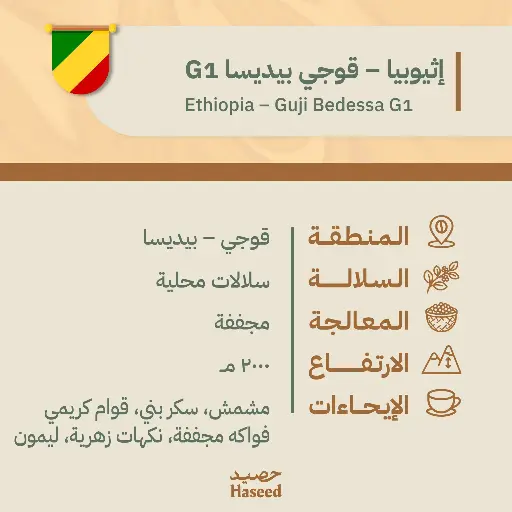 حبوب قهوة محمّصة | إثيوبيا – قوجي بيديسا G1