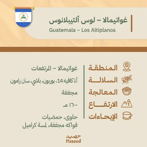 Roasted Coffee Beans | Guatemala – Los Altiplanos