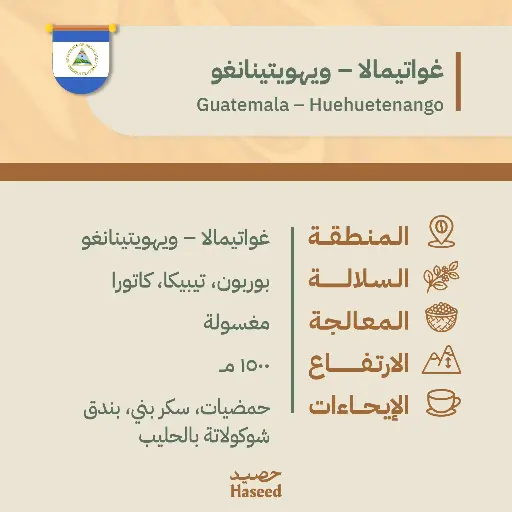 حبوب قهوة محمّصة | غواتيمالا – ويهويتينانغو