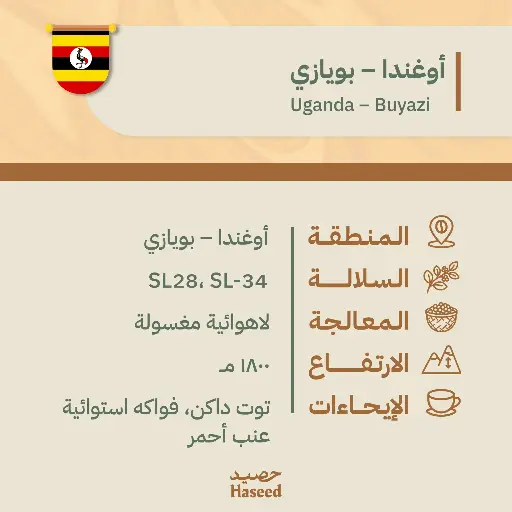 Roasted Coffee Beans | Uganda – Buyazi