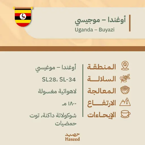 Roasted Coffee Beans | Uganda – Mugisi