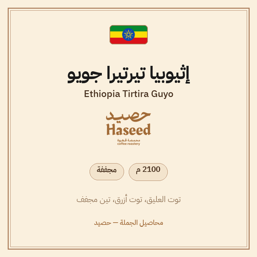 إثيوبيا تيرتيرا جويو — Ethiopia Tirtira Guyo